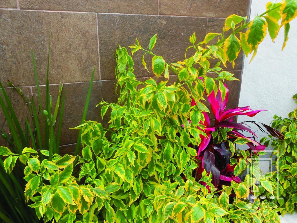 Residencia San Pablo Hostel Querétaro Екстериор снимка
